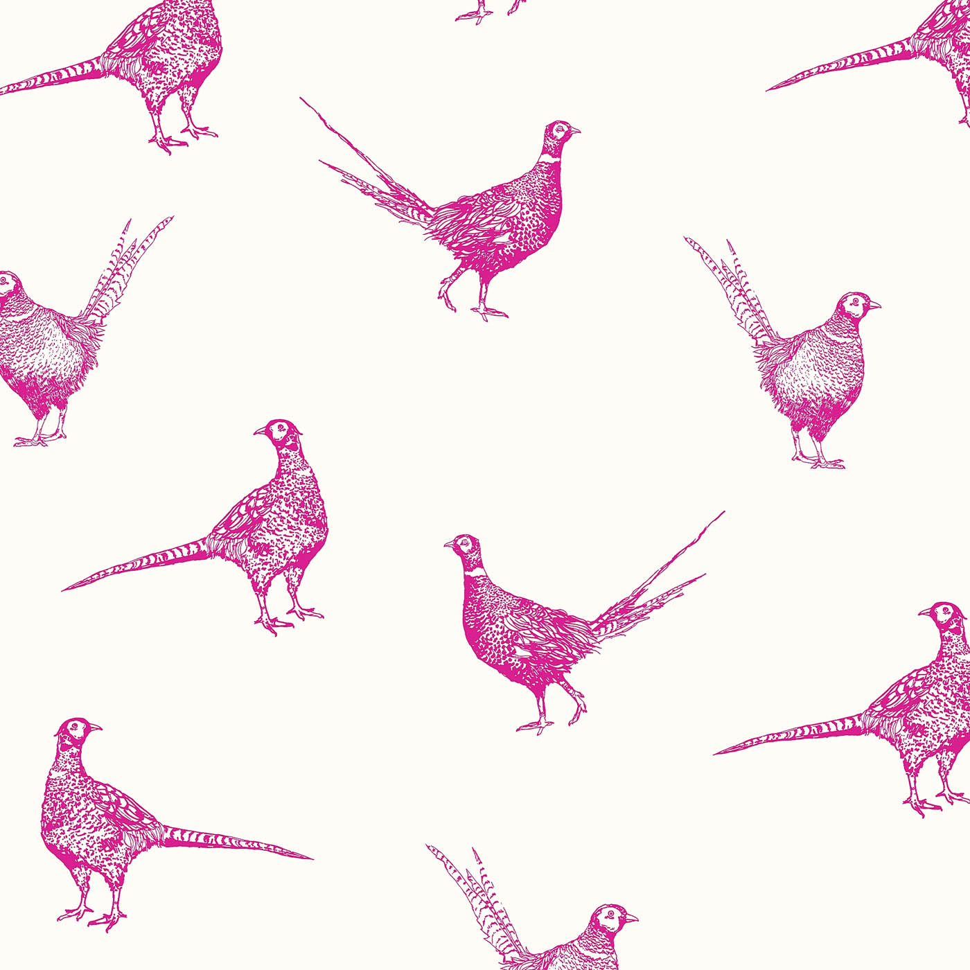 Joules Wallpaper Smooth Pink Pheasant Country Lifestyle Bedroom Living Room - Image 6