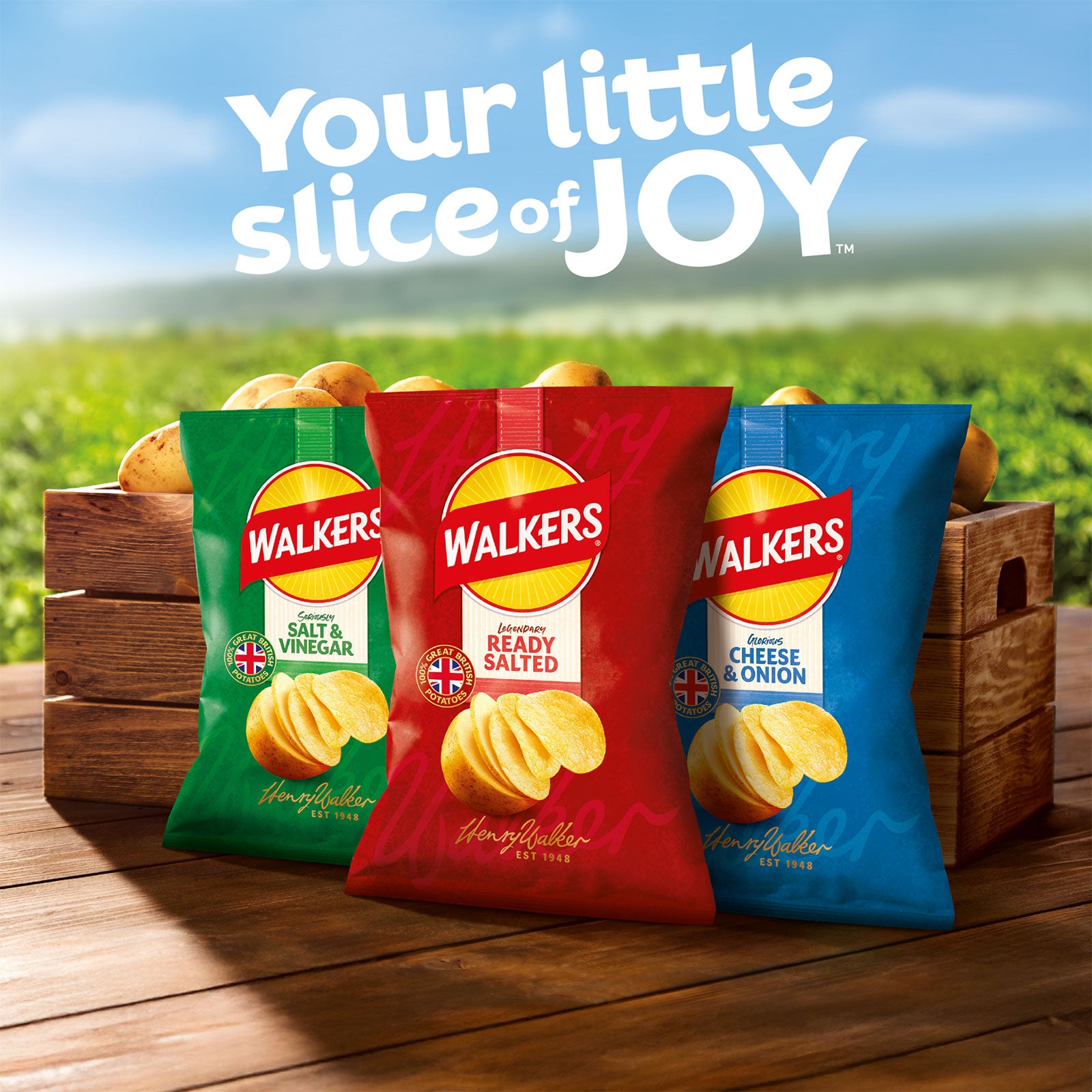 Walkers Crisps Ready Salted Sharing Pack 32 x 45g - Image 7