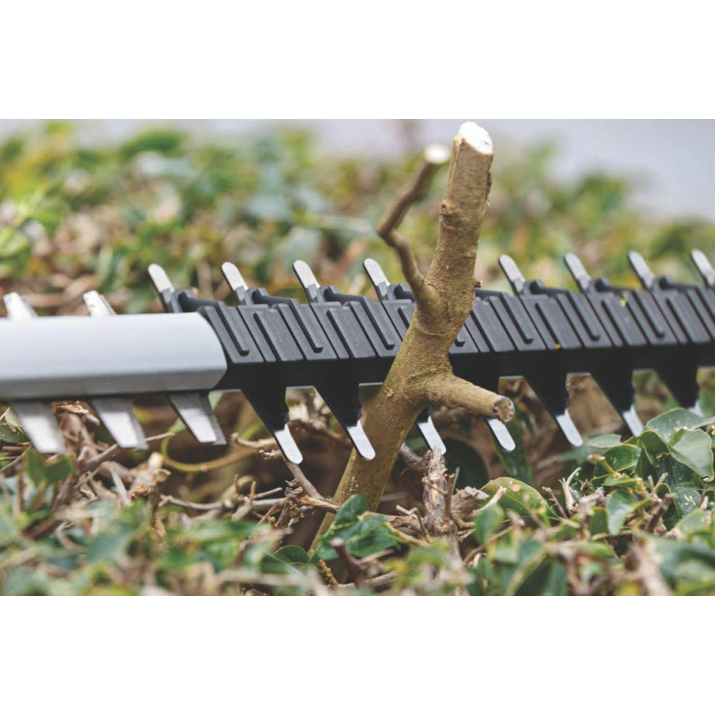 Bosch Hedge Trimmer Cordless 18V Li-Ion GHE18V-50Professional 50cm Body Only - Image 4