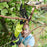 Ryobi Pruner Cordless RLP1832BX-120 Garden Branch Secateurs Shears 2.0Ah Li-Ion - Image 3