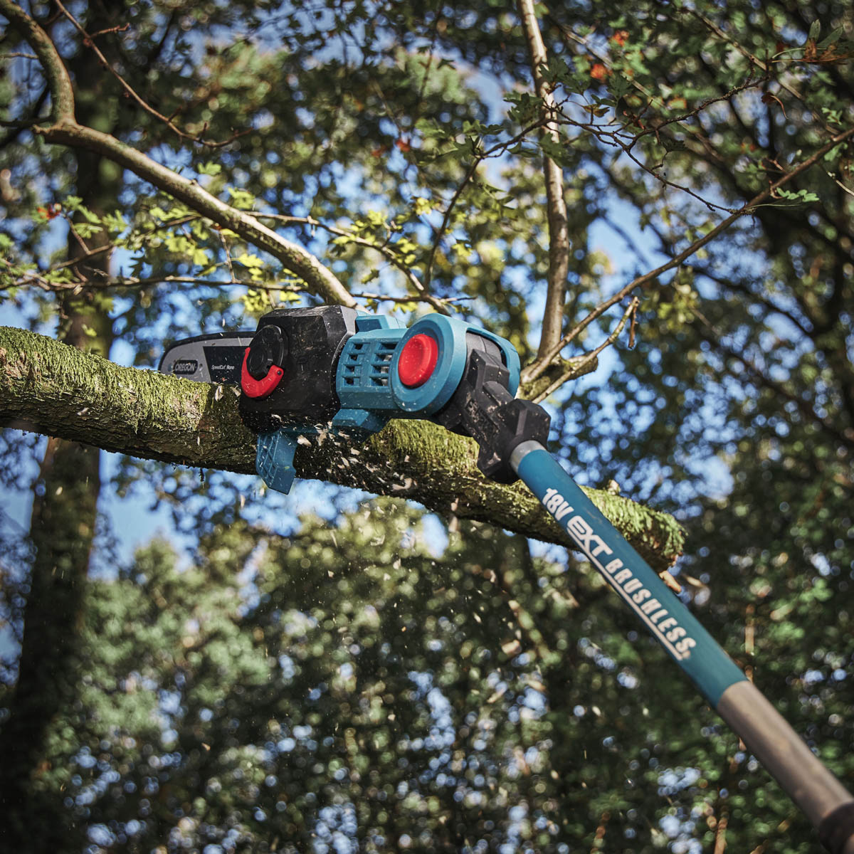 Erbauer Pole Saw Cordless 18V 6.0/3.0Ah Li-Ion ERI1020PLS Garden Chainsaw - Image 4