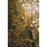 Titan Pole Hedge Trimmer Electric GHT550T2 50cm Extendable Garden Cutter 550W - Image 4