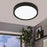 LED Ceiling Light Black Round Compact Warm White Traditional For Low Ceiling - Image 2