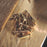 Woodscrews PZ Double-Countersunk Carbon Steel General Trade Case 1400 Pcs - Image 2
