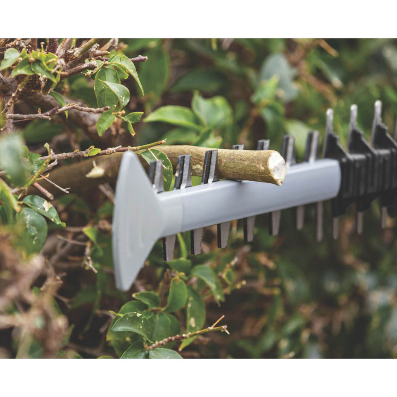 Bosch Hedge Trimmer Cordless 18V Li-Ion GHE18V-50Professional 50cm Body Only - Image 5